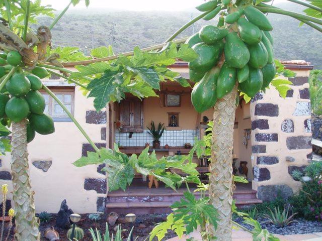 Casa De Mi Abuela Maria Casa de hóspedes Frontera Exterior foto